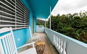 Rainforest Retreat 15 Min From The Beach